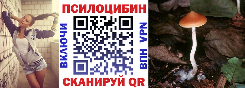 Псилоцибиновые грибы MAGIC MUSHROOMS  площадка клад  Слободской 